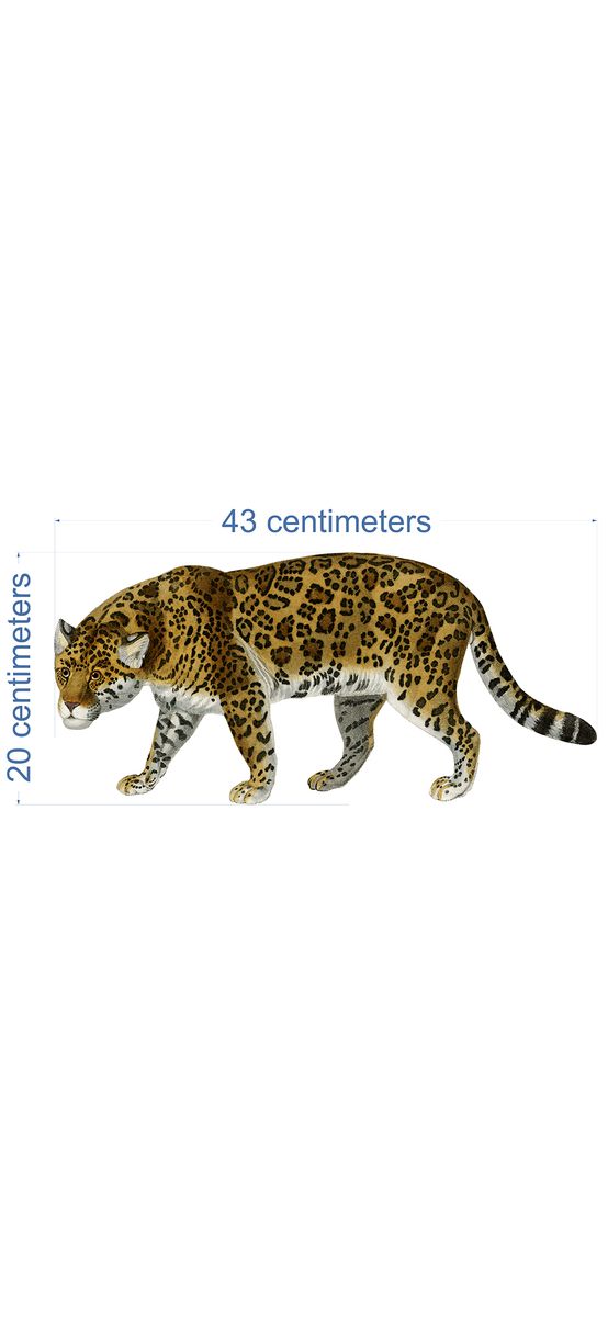 Stickere repoziționabile pentru copii, animale diverse, planșă de 100 x 150cm, racletă de aplicare inclusă.