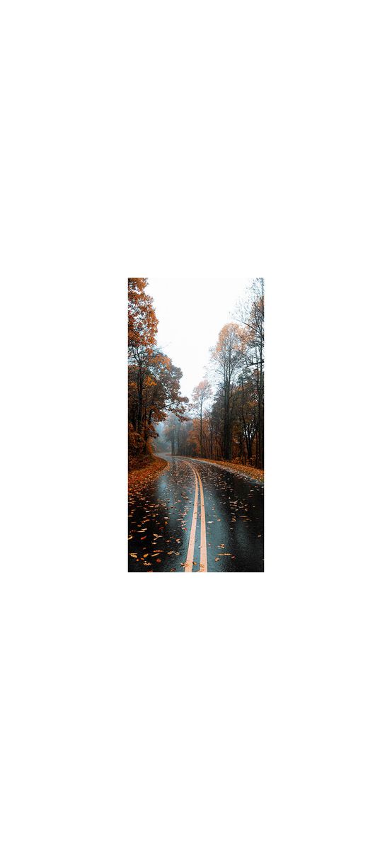 Autocolant uşă Autumn road, Folina, model multicolor, dimensiune autocolant 92x205 cm