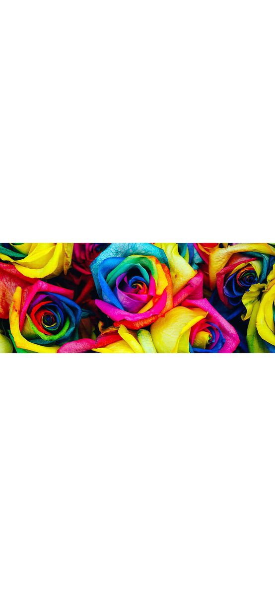 Autocolant perete Trandafiri colorați, Folina, 200x80cm