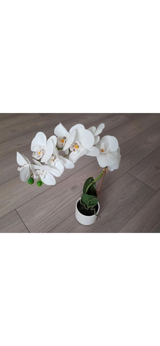 Flori artificiale, Folina, aranjament orhidee albă în vas ceramic alb Blanca, 45 cm înălţime