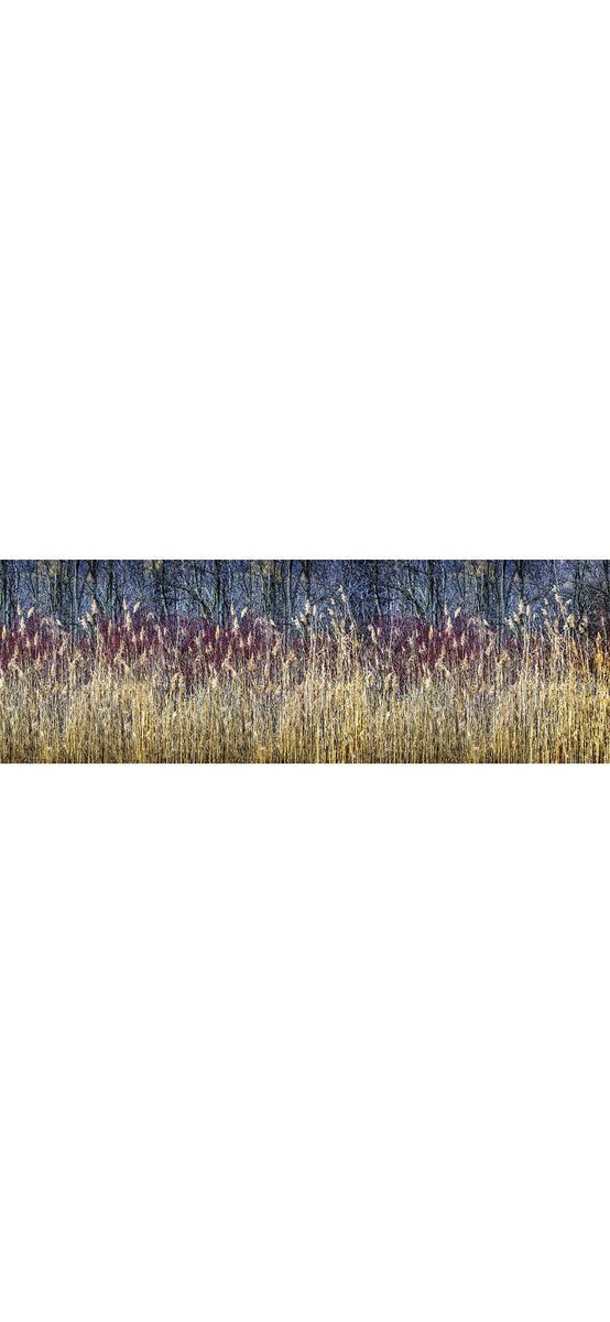 Autocolant perete bucătărie, Dimex Winter Reeds, rezistent la apă şi căldură, rolă de 60x350 cm