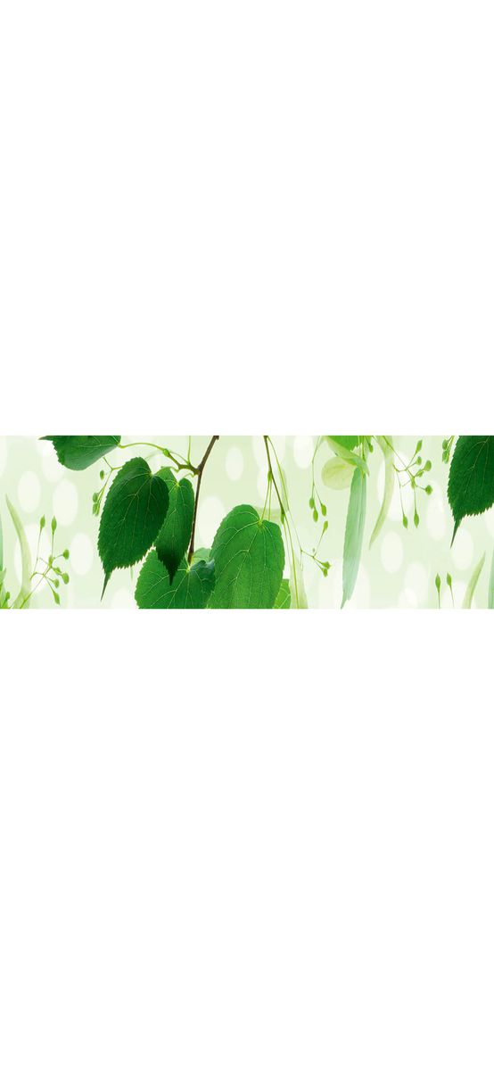 Autocolant perete backsplash, Dimex, alb cu model frunze verzi, rezistent la apă şi căldură, rolă de 60x350 cm