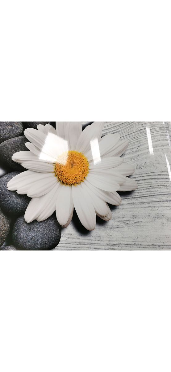 Autocolant perete model cu Margaretă, lemn gri, Folina, rolă de 67x200 cm