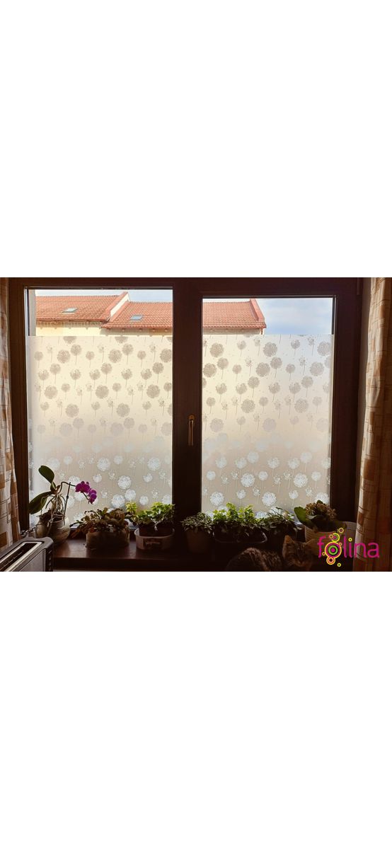 Folie geam autoadezivă, Folina Dandelion, sablare cu model păpădie albă, 90 cm lățimea rolei