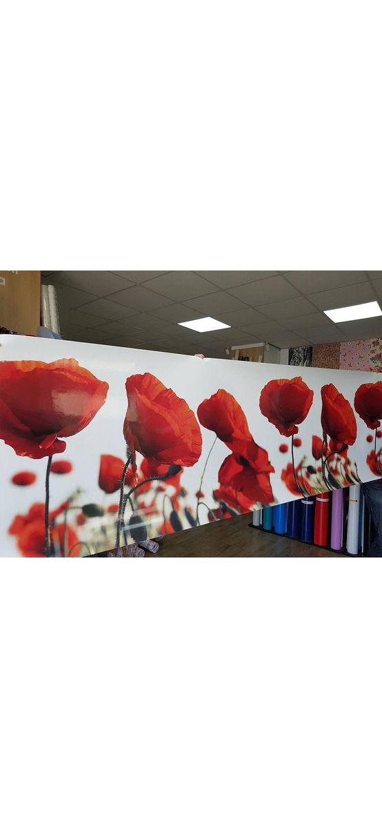 Autocolant perete, Folina, model Maci roşii, dimensiune autocolant 80x400 cm, laminare lucioasă, racletă inclusă