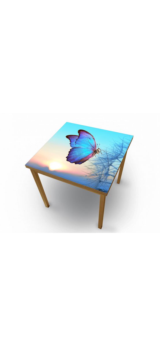 Autocolant blat masă, model fluture, 100 x 200 cm, racletă inclusă