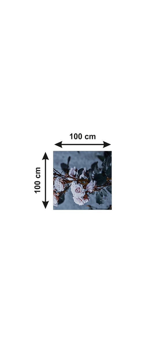 Autocolant blat masă, model trandafiri, 100 x 100 cm, racletă inclusă