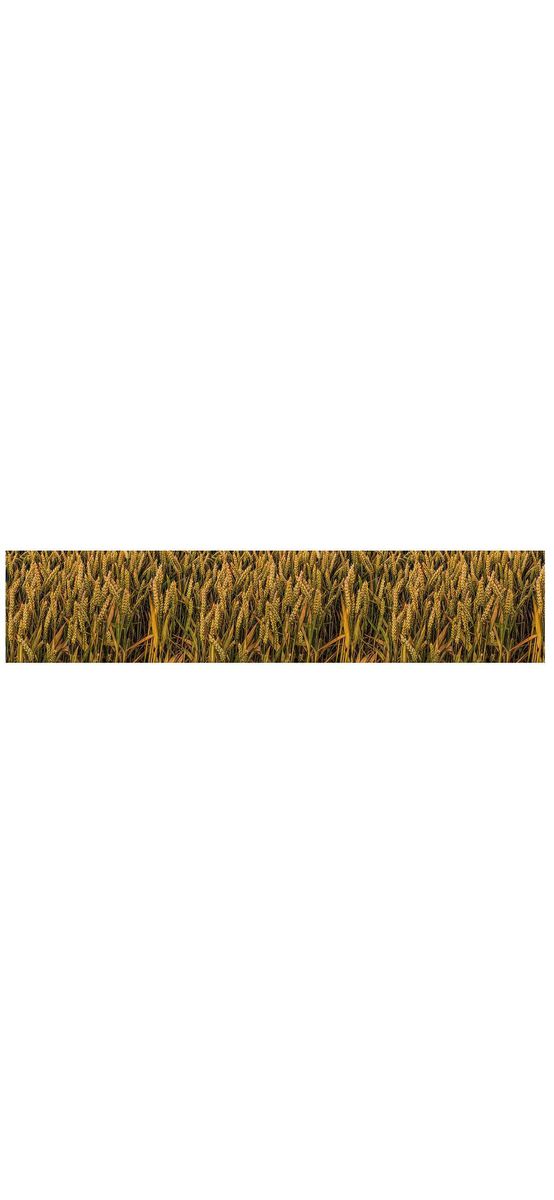 Autocolant decorativ Lan de grâu, Folina, rolă de 80x350 cm