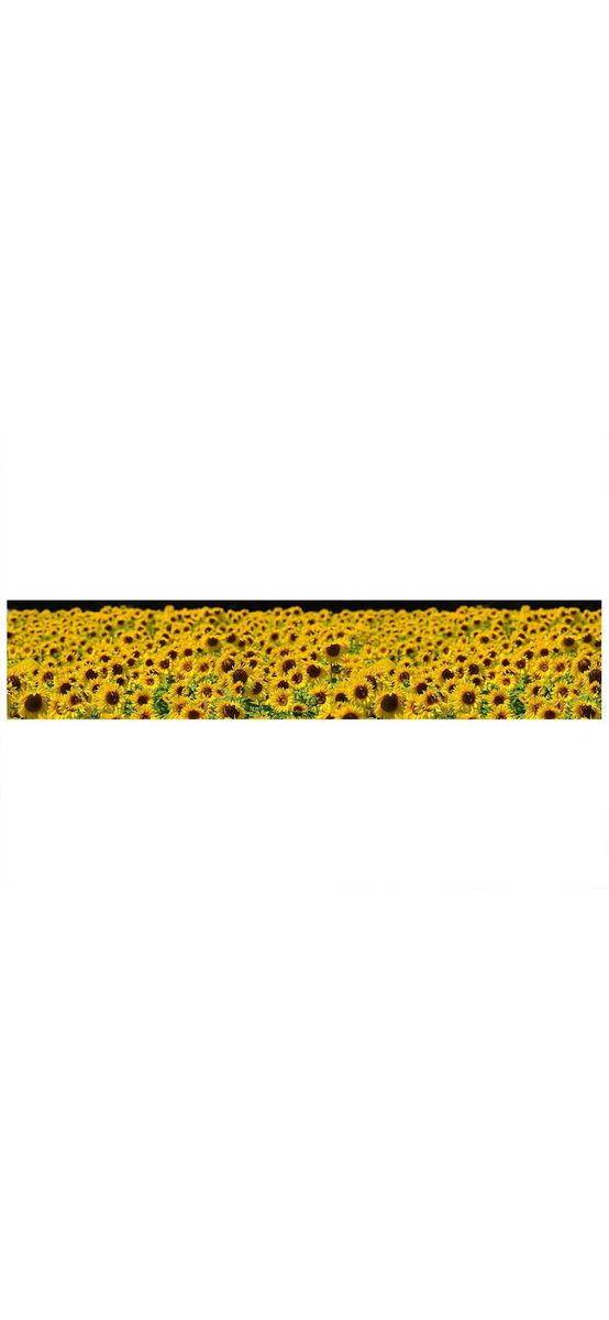 Autocolant decorativ Floarea soarelui, Folina, galben, 80x400 cm