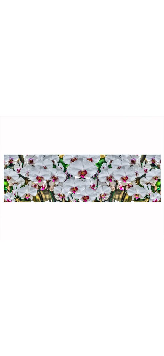 Autocolant perete, Folina, model Orhidee, rolă de 90x300 cm
