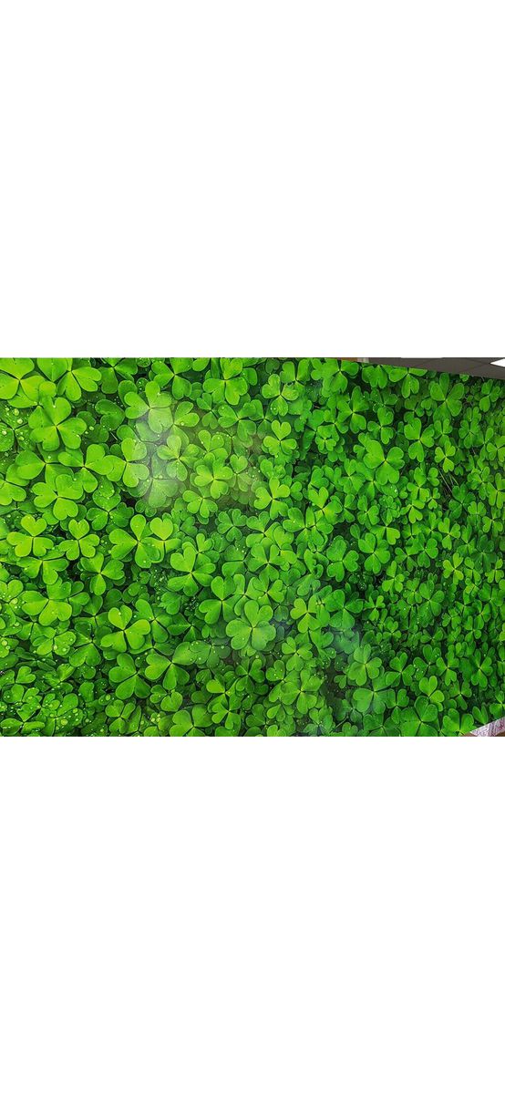 Autocolant perete, Folina, model Trifoi, dimensiune autocolant 80x400 cm, laminare lucioasă, racletă inclusă