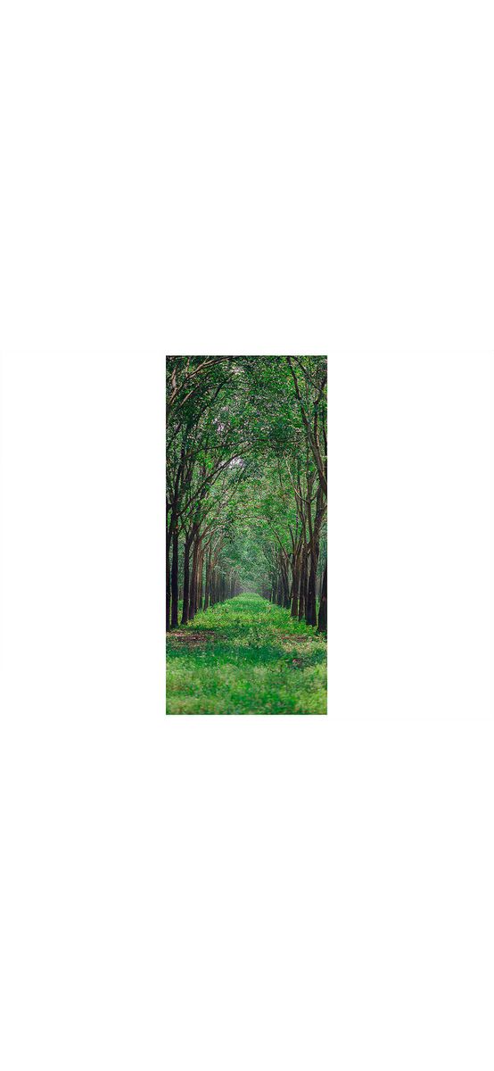 Autocolant uşă Natură, Folina, culoare verde, rolă de  92x205 cm