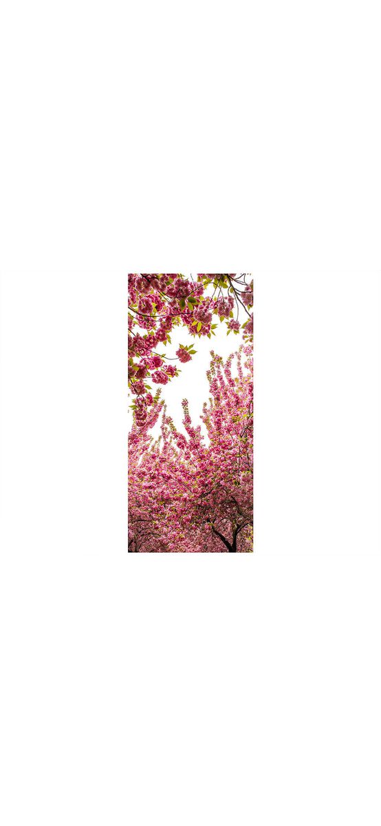 Autocolant uşă Blossom, Folina, model floral, rolă de 90x200 cm
