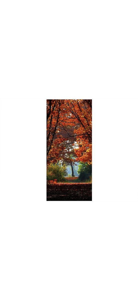 Autocolant uşă Pădurea toamna, Folina, model multicolor, dimensiune autocolant 92x205 cm