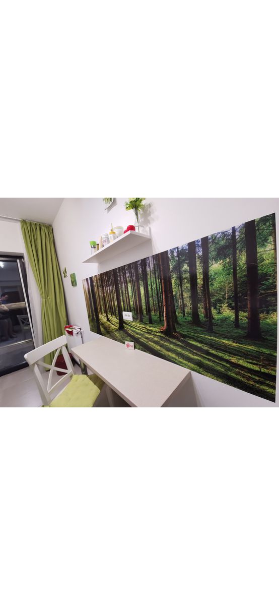 Autocolant perete Pădure, Folina, autoadeziv, rolă de 200x80cm