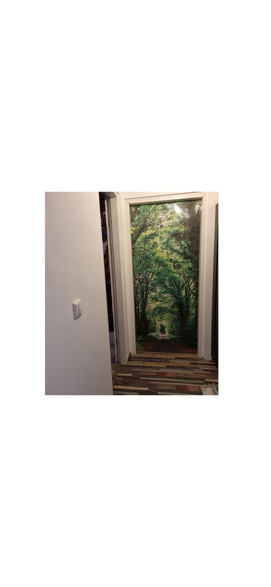 Autocolant uşă Drum prin pădure, Folina, culoare verde, dimensiune autocolant 92x205 cm