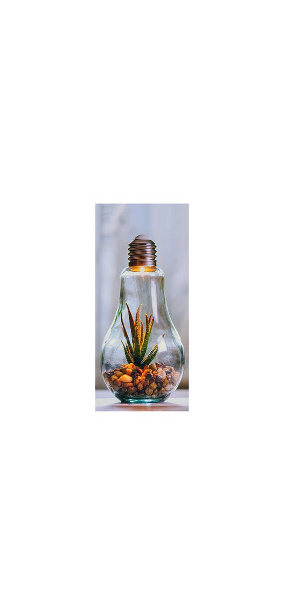 Autocolant uşă Aloe, Folina, model multicolor, dimensiune autocolant 92x205 cm