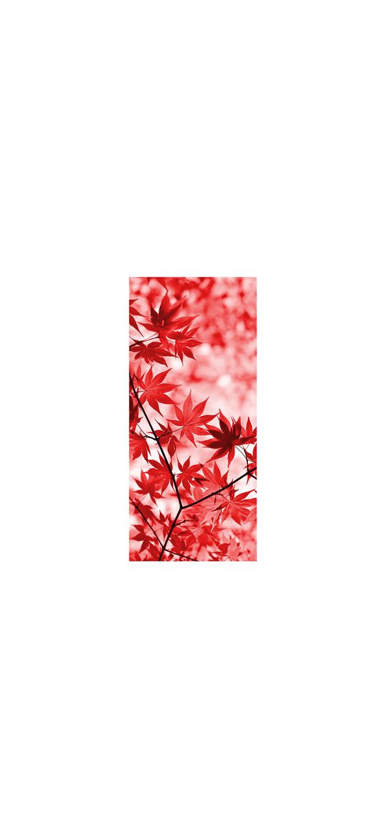 Autocolant uşă Frunze cărămizii, Folina, model multicolor, dimensiune autocolant 92x205 cm