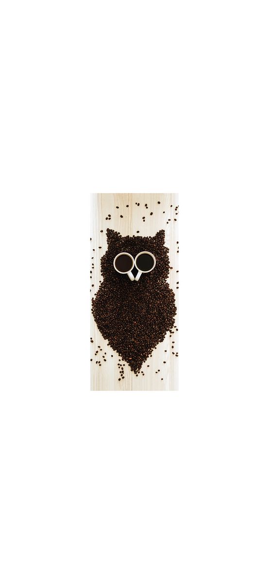 Autocolant uşă Bufniță din cafea, Folina, model multicolor, dimensiune autocolant 92x205 cm
