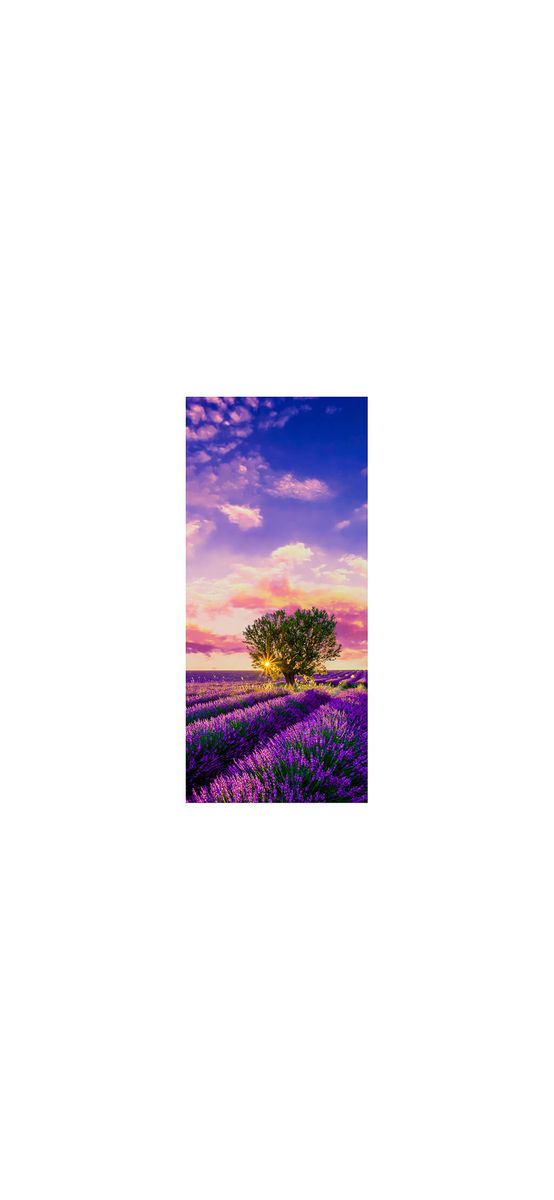 Autocolant uşă Câmp lavandă, Folina, model multicolor, dimensiune autocolant 92x205 cm