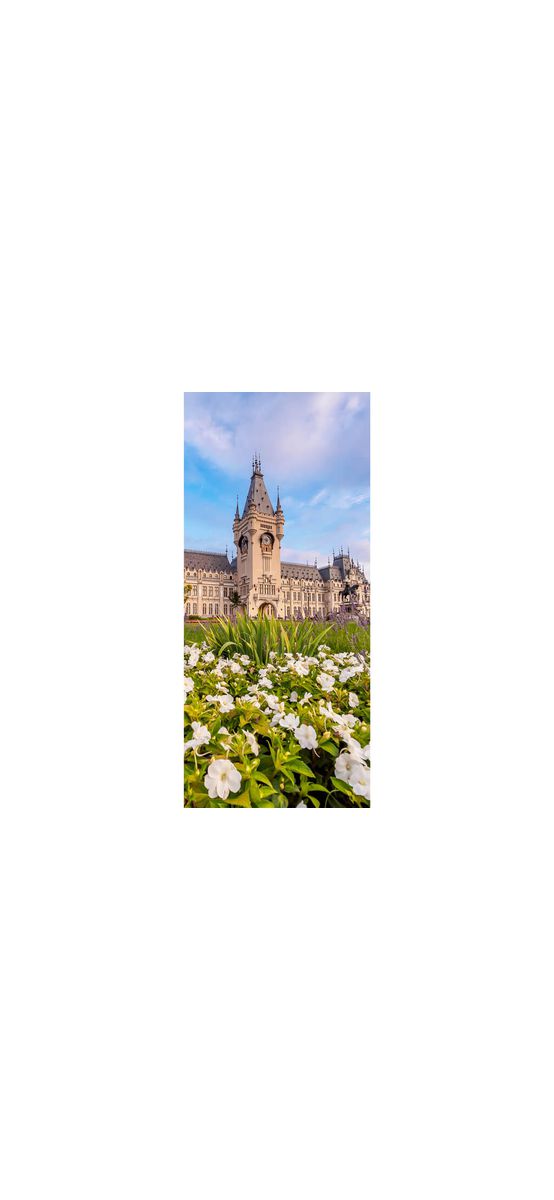 Autocolant uşă Palatul Culturii Iaşi, Folina, model cu peisaj, dimensiune autocolant 92x205 cm