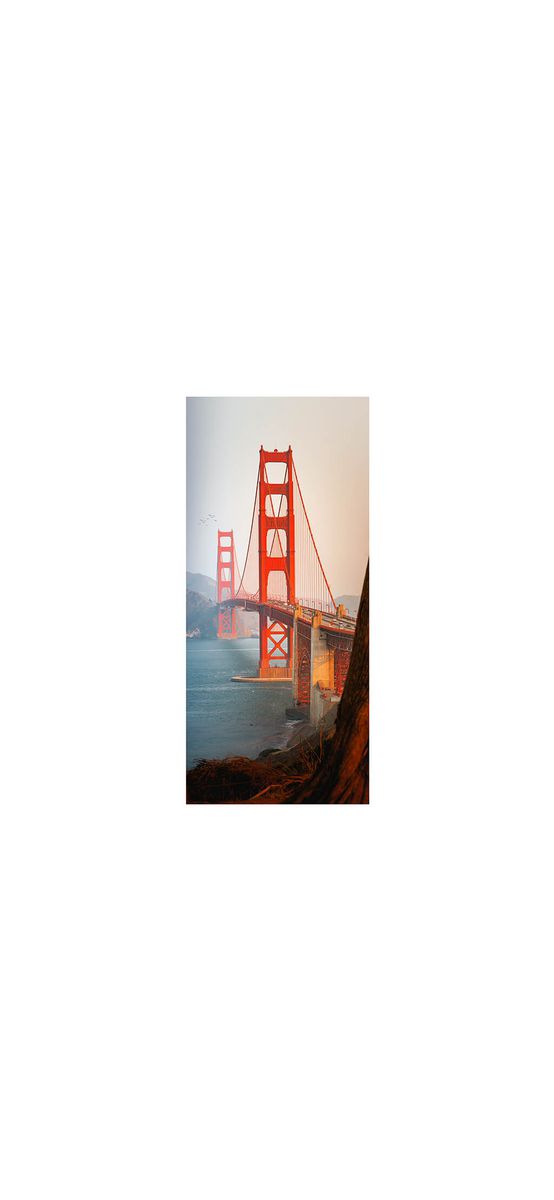 Autocolant uşă Golden Gate, Folina, model multicolor, dimensiune autocolant 92x205 cm