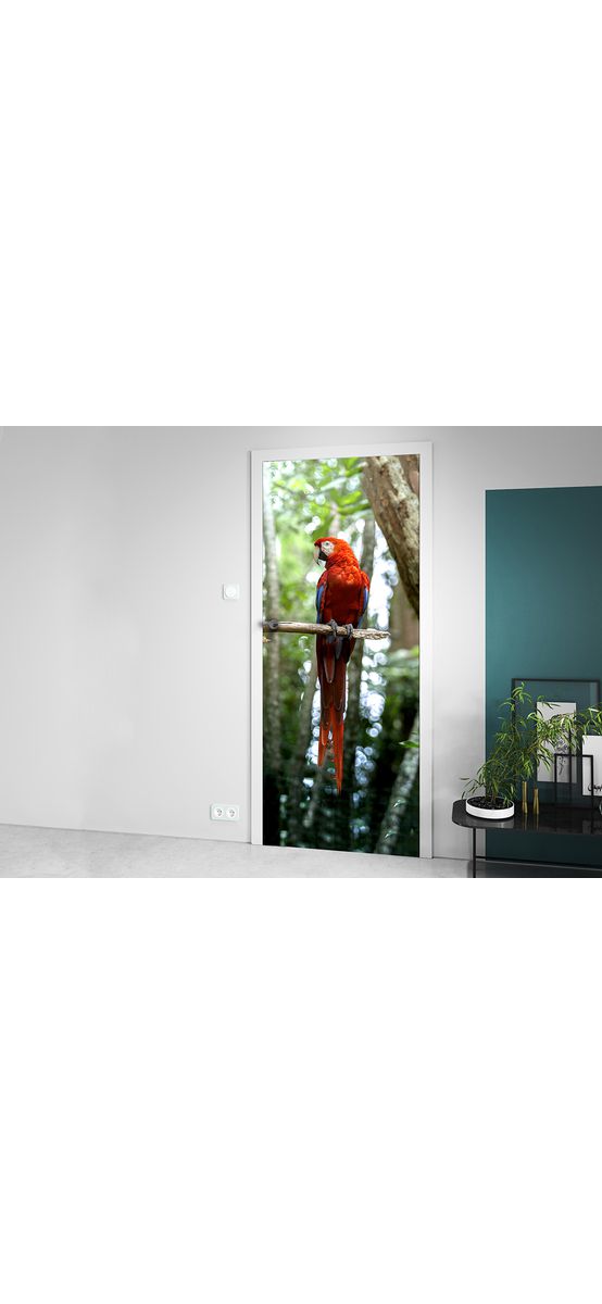 Autocolant uşă Papagal, Folina, model multicolor, dimensiune autocolant 92x205 cm