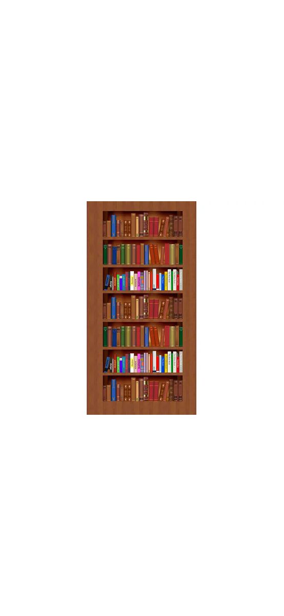 Autocolant uşă Bibliotecă, Folina, model multicolor, rola de 100x210 cm