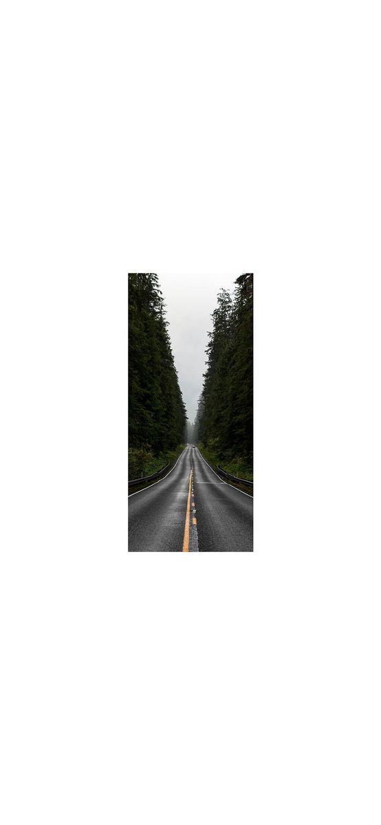 Autocolant uşă Stradă prin pădure, Folina, model cu peisaj, dimensiune autocolant 92x205 cm