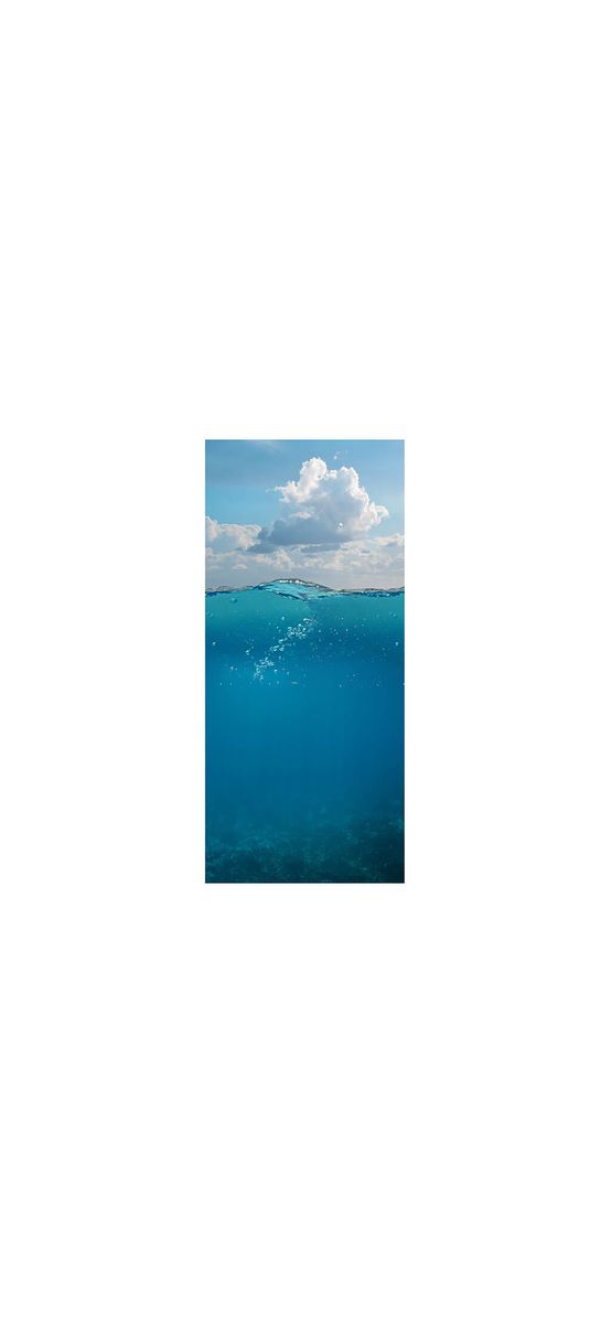 Autocolant uşă baie, Folina, culoare albastră, dimensiune autocolant 92x205 cm