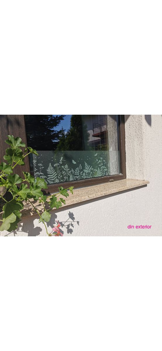 Bordură decorativă electrostatică Spring Meadow, d-c-fix, rolă de 20x150 cm