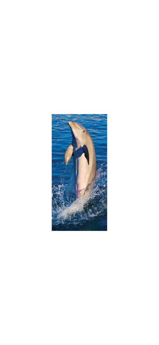 Folie cabină duş, Folina, sablare cu model delfin, rolă de 100x210 cm