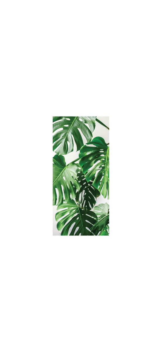 Folie cabină duş, Folina, sablare cu model frunze exotice verzi, rolă de 100x210 cm