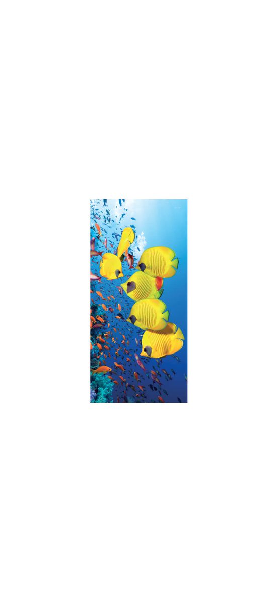 Folie cabină duş, Folina, sablare cu model peşti galbeni, rolă de 100x210 cm