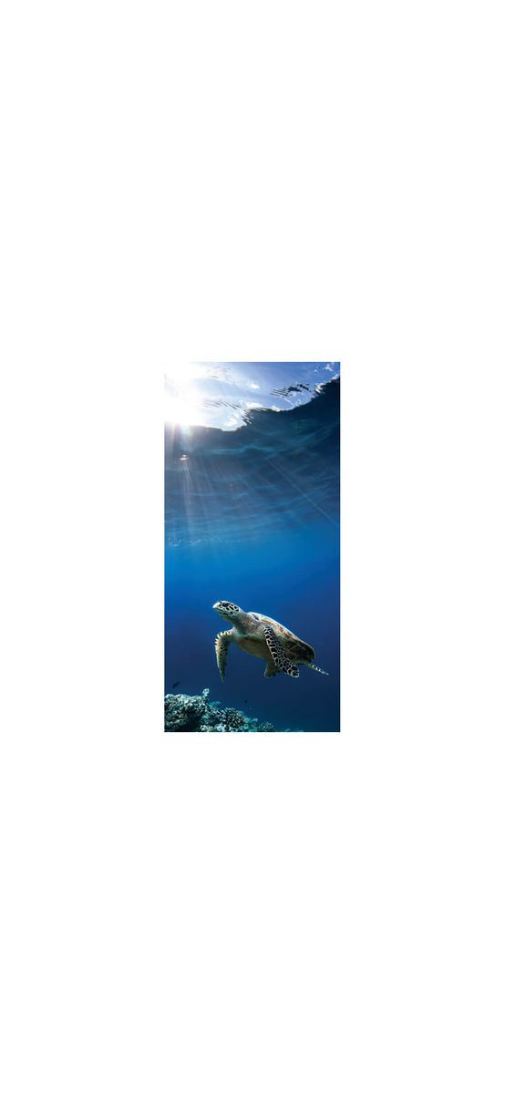 Folie cabină duş, Folina, sablare cu model ţestoasă, rolă de 100x210 cm