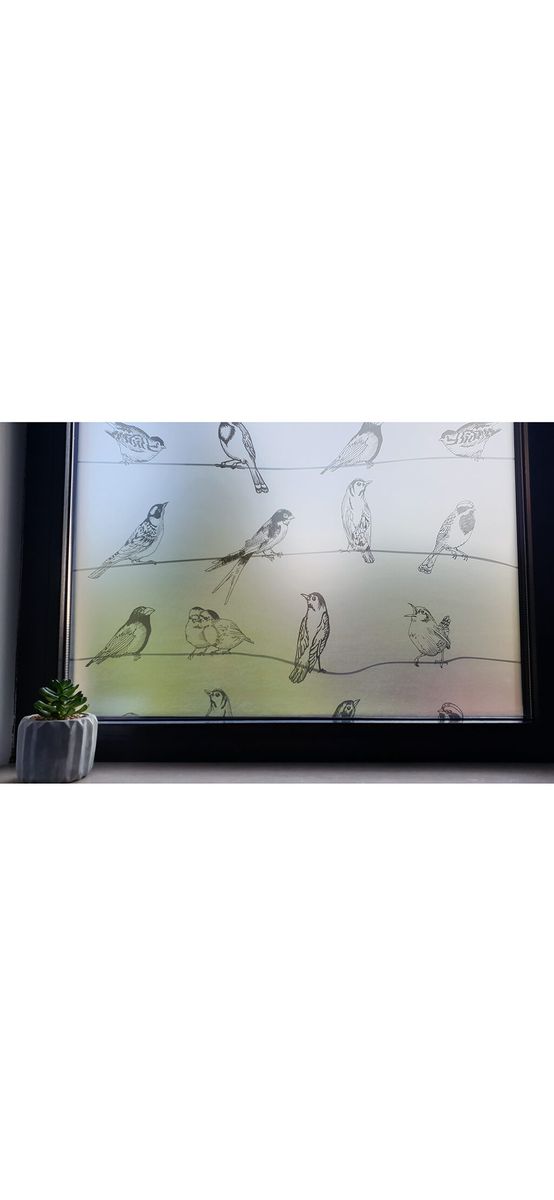 Folie geam autoadezivă Birdy, Folina, sablare cu model pasari gri, 100 cm lăţime