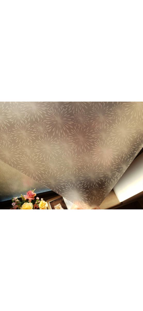 Folie geam autoadezivă Elya, Folina, sablare cu model floral stilizat, 100 cm lăţime