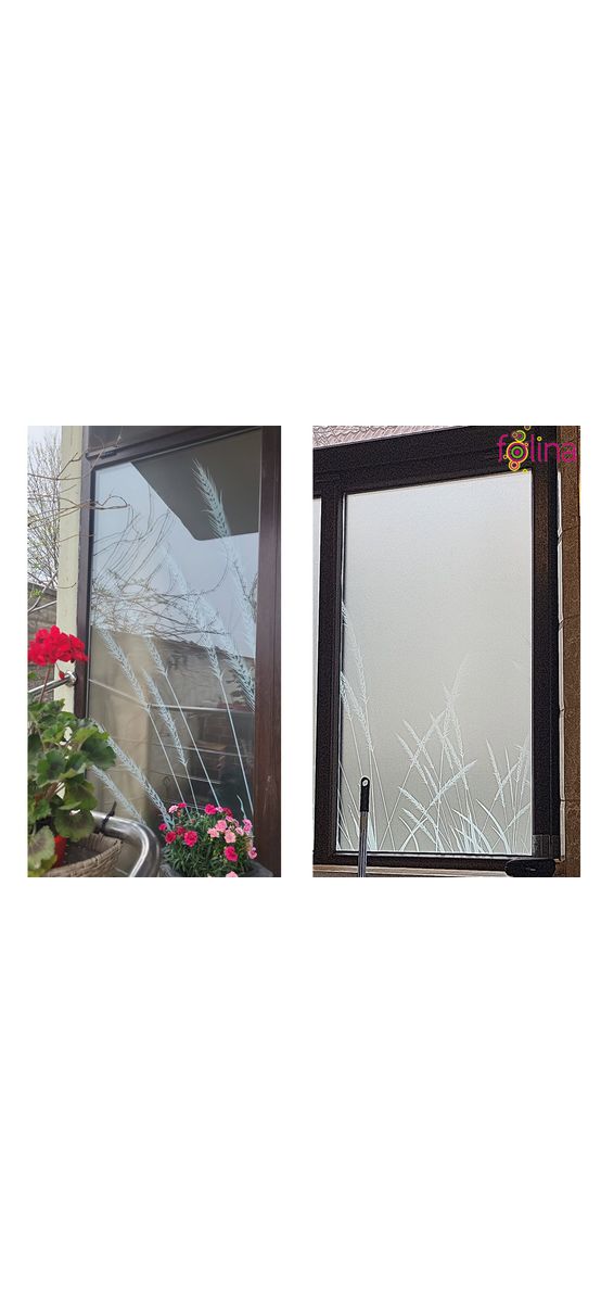 Folie geam autoadezivă, Folina, sablare cu model trestie, rolă de 100x100 cm 