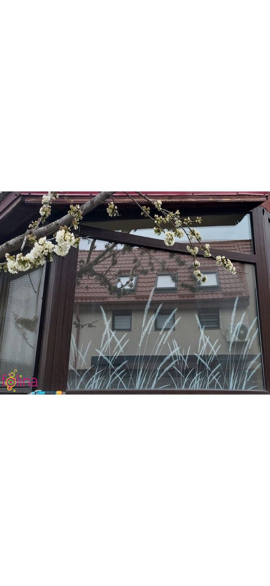 Folie geam autoadezivă, Folina, sablare cu model trestie, rolă de 100x100 cm 