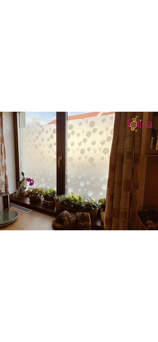 Folie geam autoadezivă, Folina Dandelion, sablare cu model păpădie albă, 90 cm lățimea rolei