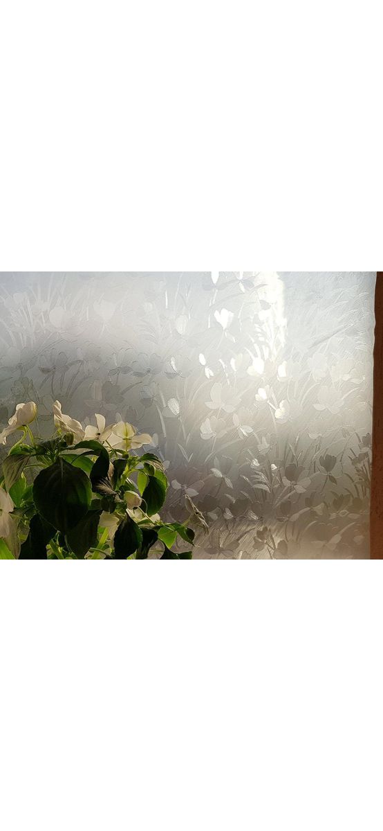 Folie geam autoadezivă Layla, Folina, sablare cu model floral translucid, rolă de 120x140 cm