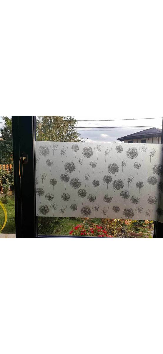 Folie geam autoadezivă Păpădie neagră, Folina, model floral, 90 cm lăţime
