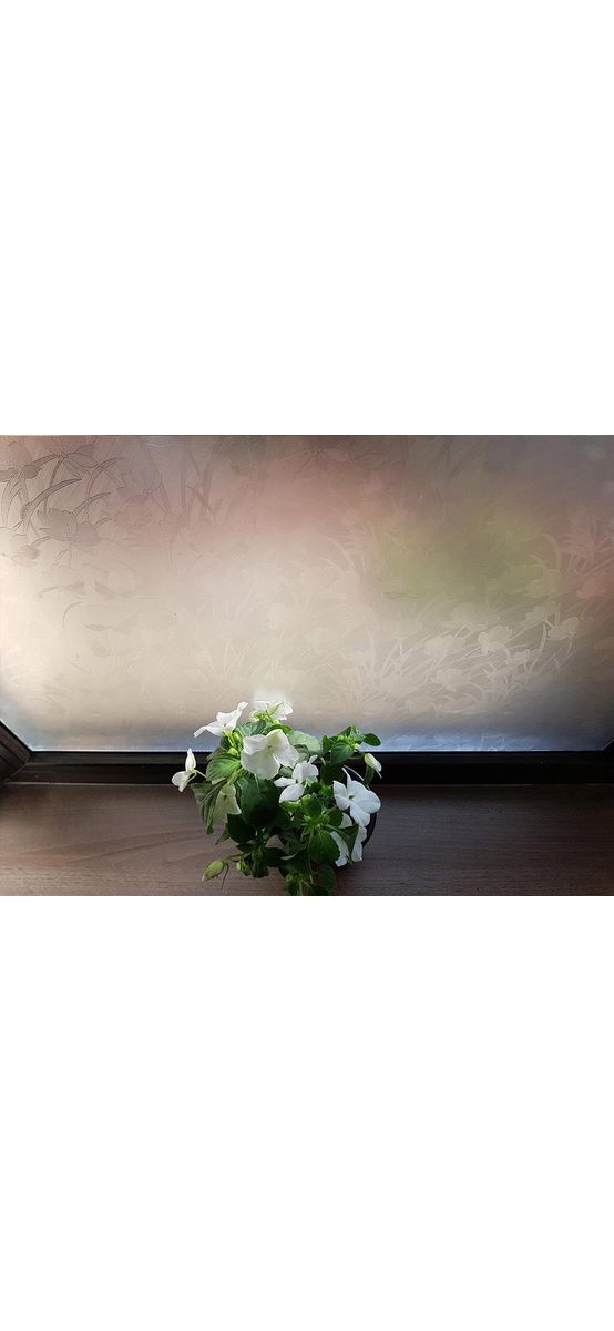 Folie geam autoadezivă Layla, Folina, sablare cu model floral translucid, rolă de 120x140 cm