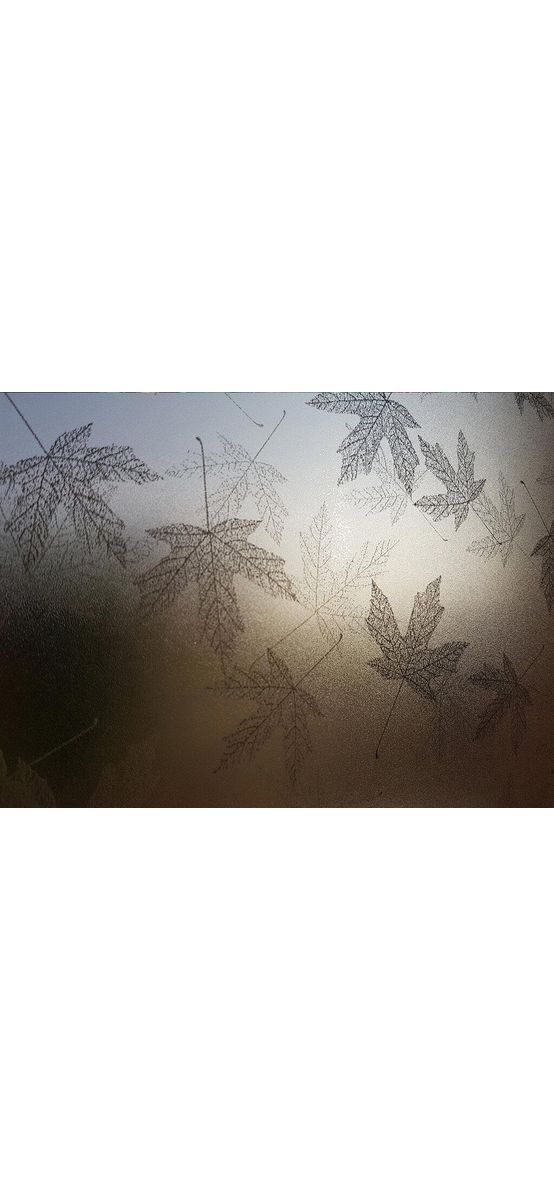 Folie geam autoadezivă Ava, Folina, imprimeu frunze gri, lăţime de 90 cm lăţime