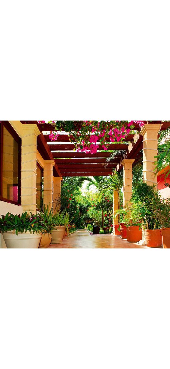 Fototapet 3D Garden Terrace, Dimex, multicolor, 375x250 cm