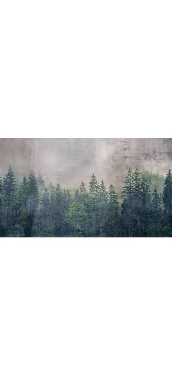 Fototapet autoadeziv, Dimex Forest, peisaj pădure, 375x250 cm