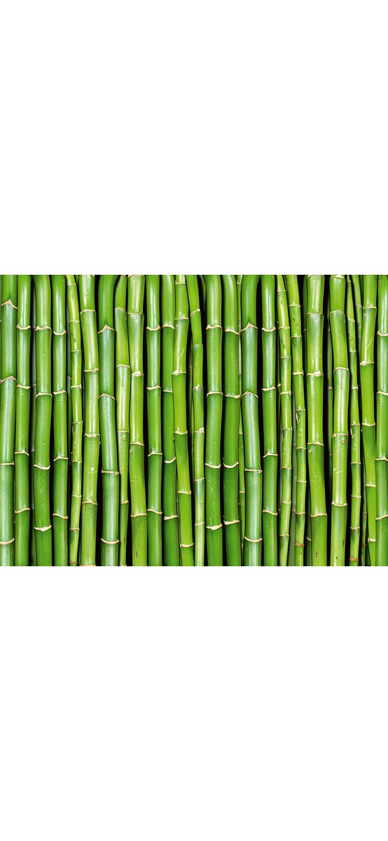 Fototapet Bamboo, Dimex, bambus verde, 375x250 cm