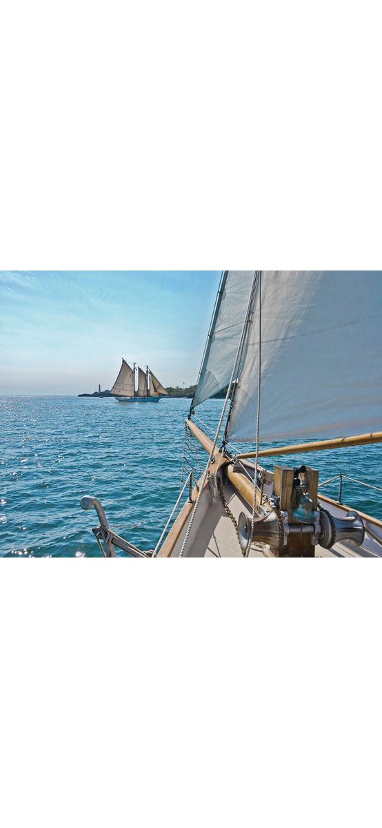 Fototapet bărci pe mare Sailing, Komar, pentru decor cu tematica marina, 368x254 cm