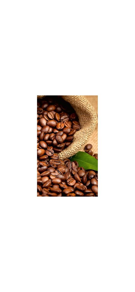 Fototapet bucătărie Boabe cafea - 150x250 cm