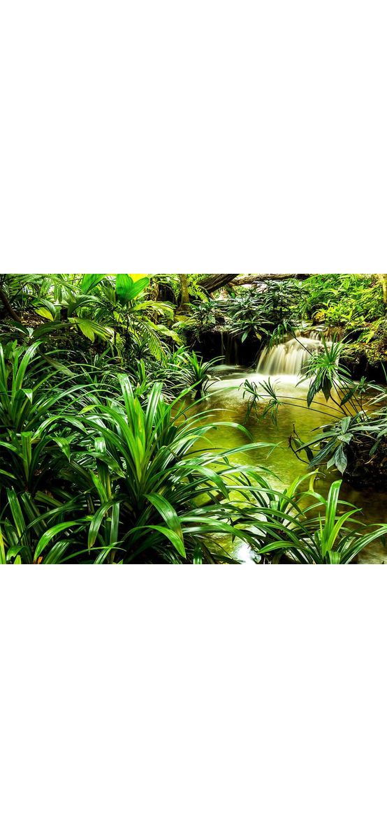 Fototapet peisaj cascadă Wild